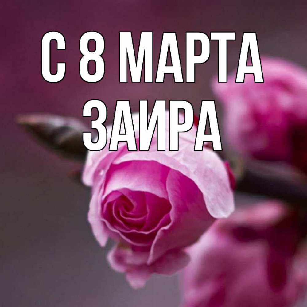Открытка на каждый день с именем, Заира С 8 марта весна Прикольная открытка с пожеланием онлайн скачать бесплатно 