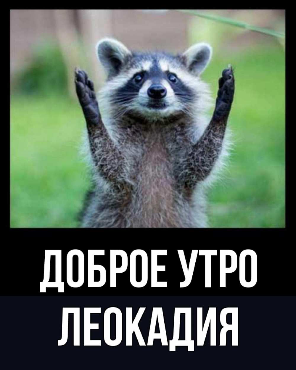 Открытка на каждый день с именем, Леокадия Доброе утро хорошее настроение утречком Прикольная открытка с пожеланием онлайн скачать бесплатно 
