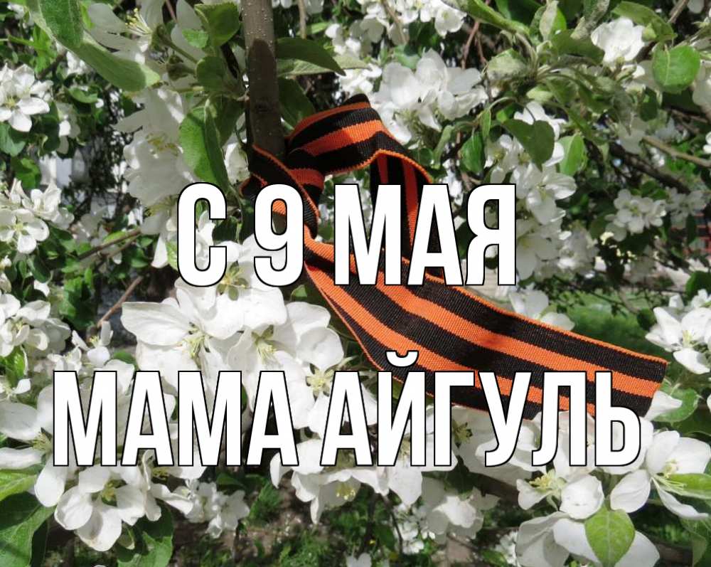 Открытка на каждый день с именем, Мама-Айгуль С 9 мая 9 мая Прикольная открытка с пожеланием онлайн скачать бесплатно 