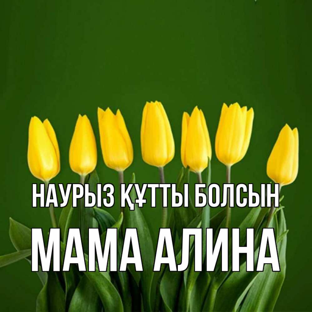 Открытка на каждый день с именем, Мама-Алина Наурыз құтты болсын желтого цвета 3 Прикольная открытка с пожеланием онлайн скачать бесплатно 
