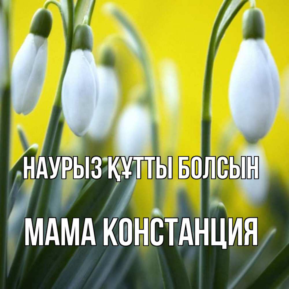 Открытка на каждый день с именем, Мама-Констанция Наурыз құтты болсын весенние цветы Прикольная открытка с пожеланием онлайн скачать бесплатно 