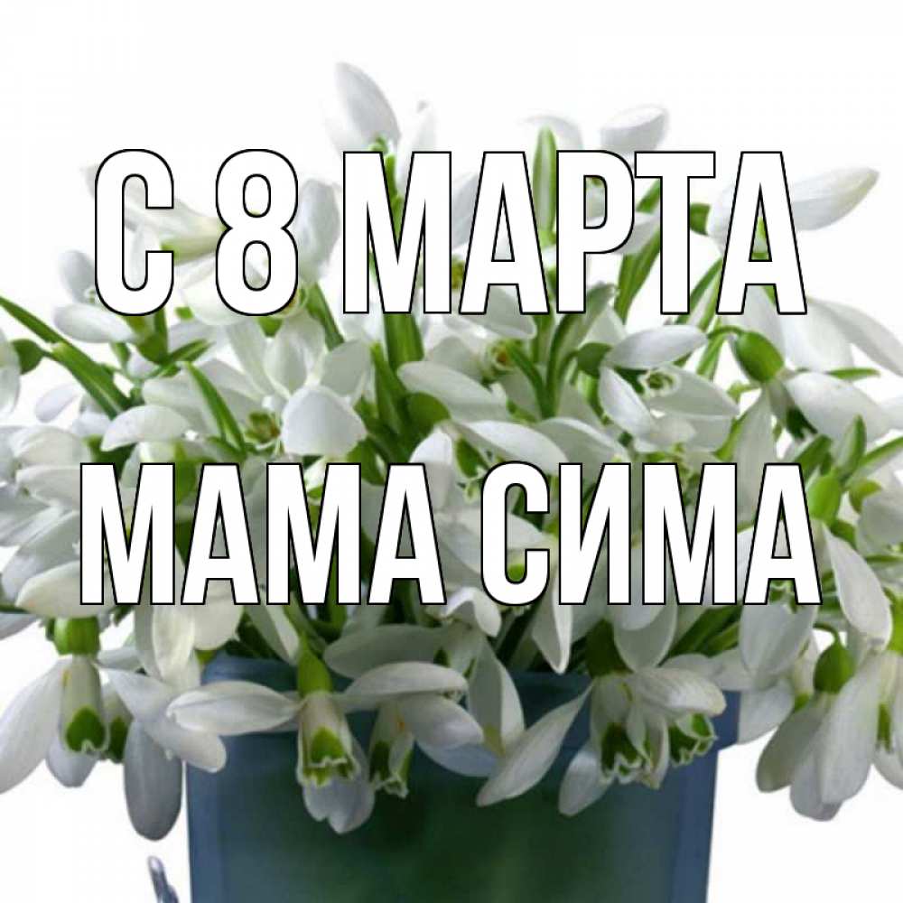 Открытка на каждый день с именем, Мама-Сима С 8 МАРТА цветы к международному женскому дню Прикольная открытка с пожеланием онлайн скачать бесплатно 