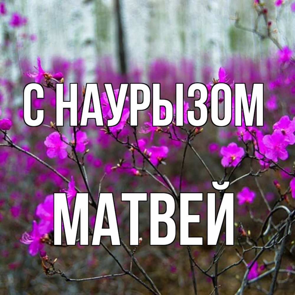 Открытка на каждый день с именем, Матвей С наурызом дикие цветы Прикольная открытка с пожеланием онлайн скачать бесплатно 