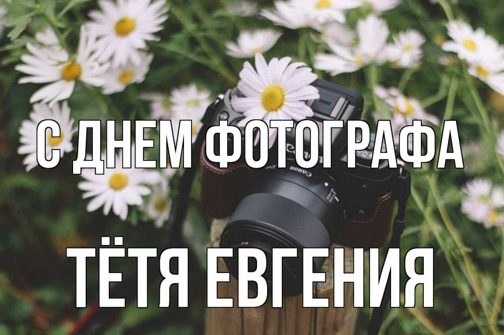 Открытка на каждый день с именем, Тётя-Евгения С днем фотографа с днем фотографа Прикольная открытка с пожеланием онлайн скачать бесплатно 
