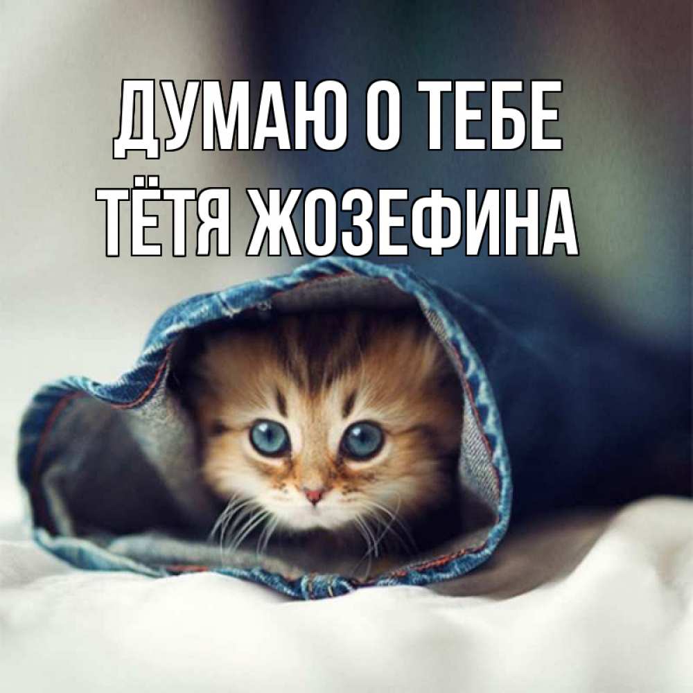 Открытка на каждый день с именем, Тётя-Жозефина Думаю о тебе мне без тебя плохо Прикольная открытка с пожеланием онлайн скачать бесплатно 