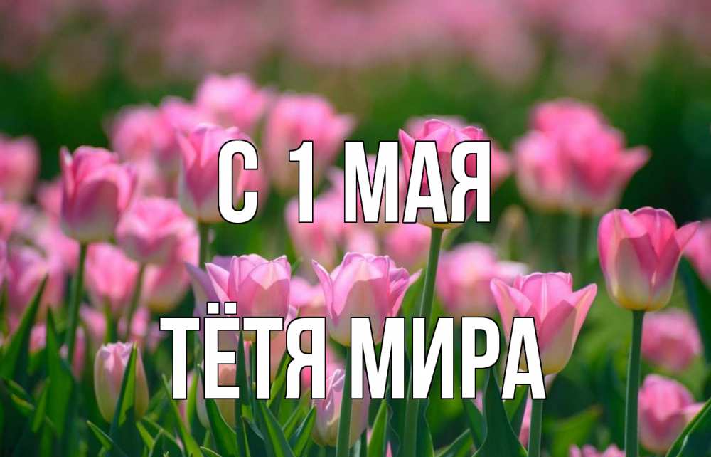 Открытка на каждый день с именем, Тётя-Мира С 1 мая С 1 мая Прикольная открытка с пожеланием онлайн скачать бесплатно 