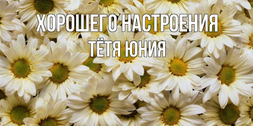 Открытка на каждый день с именем, Тётя-Юния Хорошего настроения крупные ромашки Прикольная открытка с пожеланием онлайн скачать бесплатно 