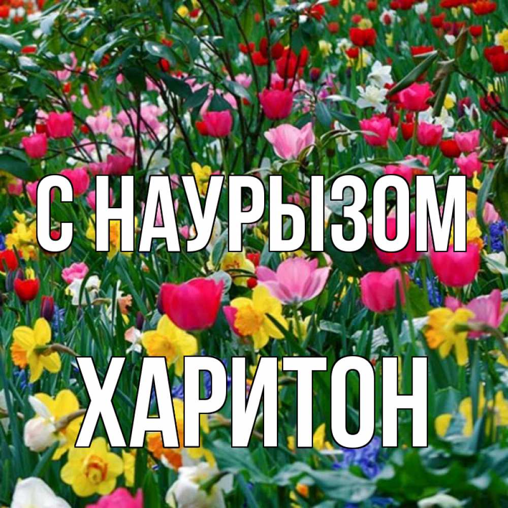 Открытка на каждый день с именем, Харитон С наурызом с наурызом праздником весны поздравления для женщины Прикольная открытка с пожеланием онлайн скачать бесплатно 