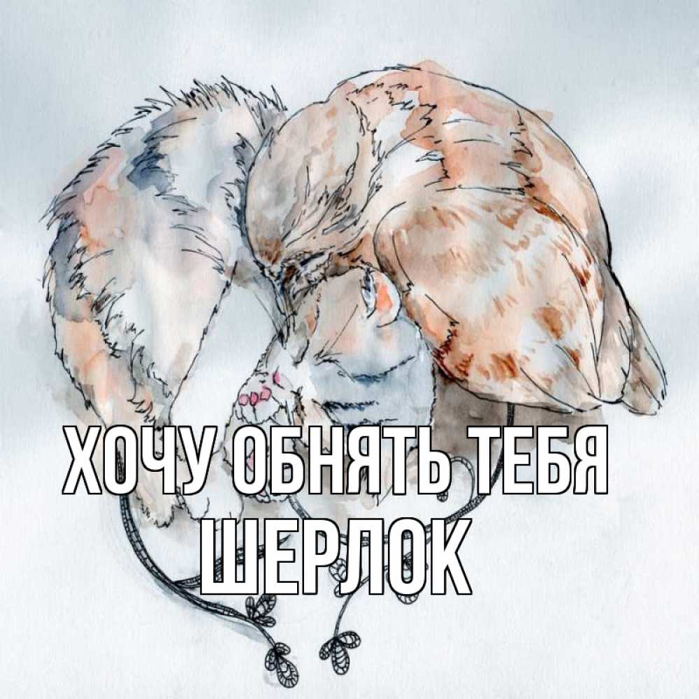 Открытка на каждый день с именем, Шерлок Хочу обнять тебя можно быть вместе даже когда очень разные Прикольная открытка с пожеланием онлайн скачать бесплатно 
