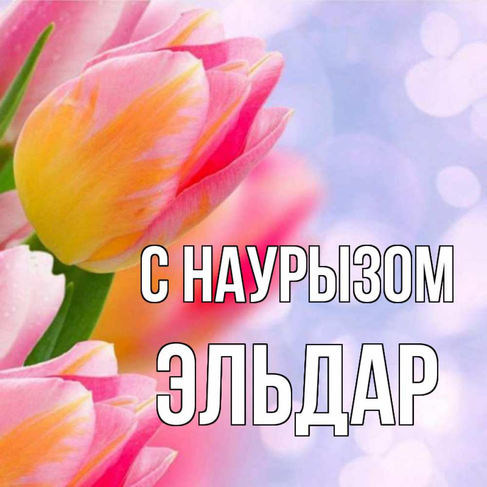 Открытка на каждый день с именем, Эльдар С наурызом тюльпаны 2 Прикольная открытка с пожеланием онлайн скачать бесплатно 
