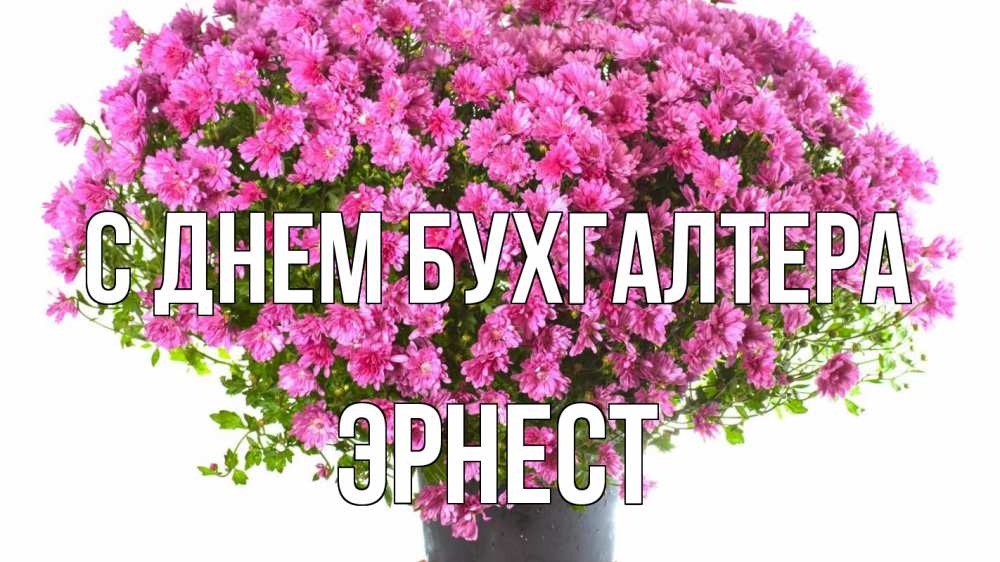 Открытка на каждый день с именем, Эрнест С днем бухгалтера с днем бухгалтера Прикольная открытка с пожеланием онлайн скачать бесплатно 