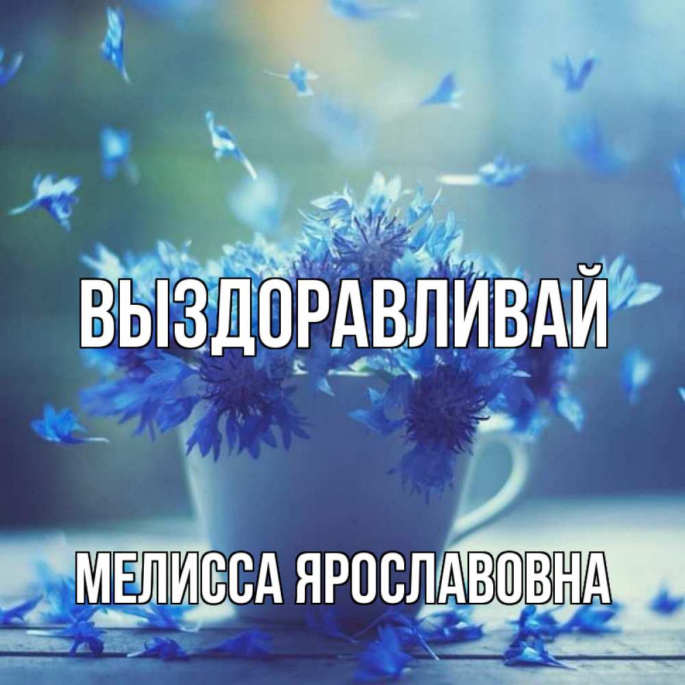 Картинка Выздоравливай, Мелисса Ярославовна