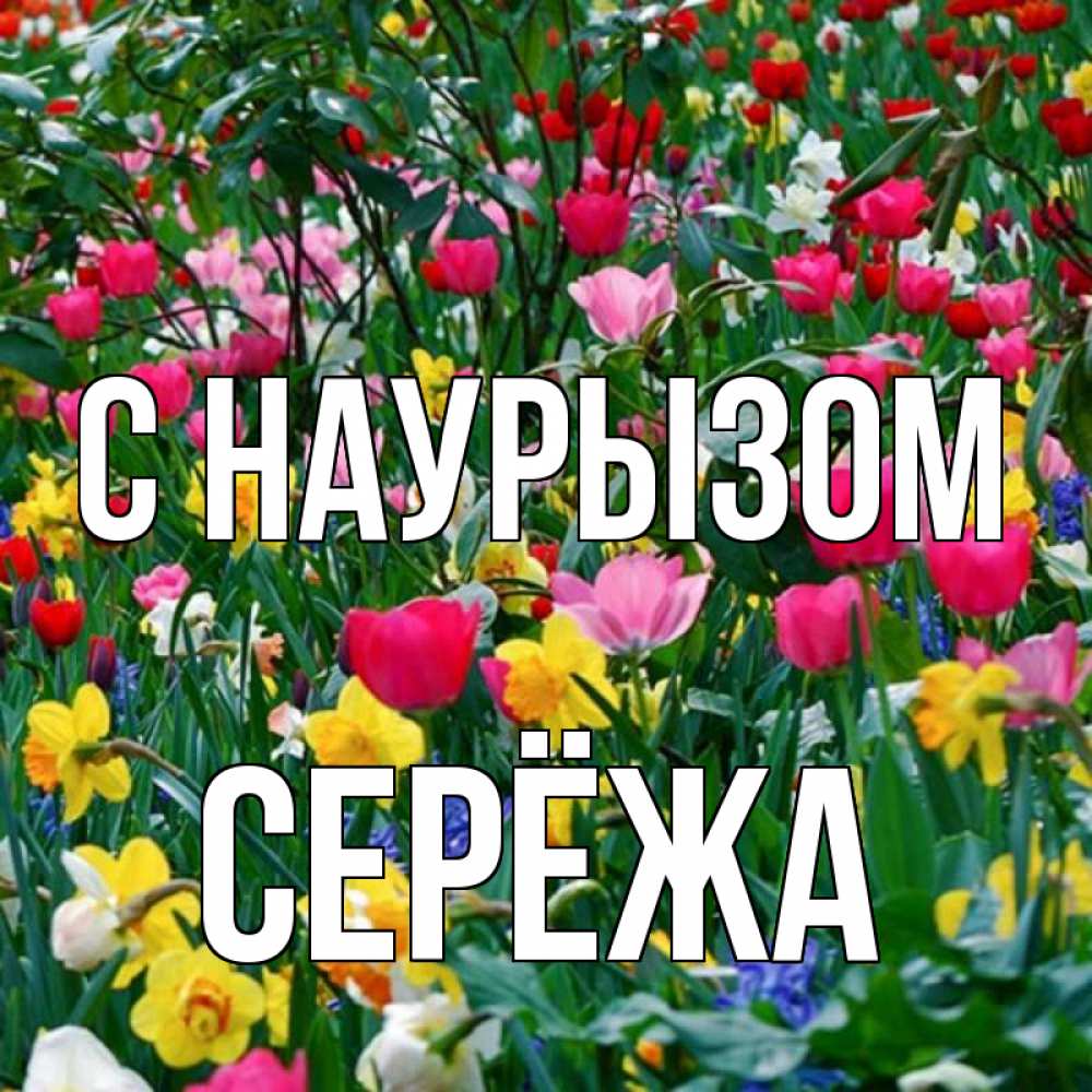 Картинка С наурызом, Серёжа