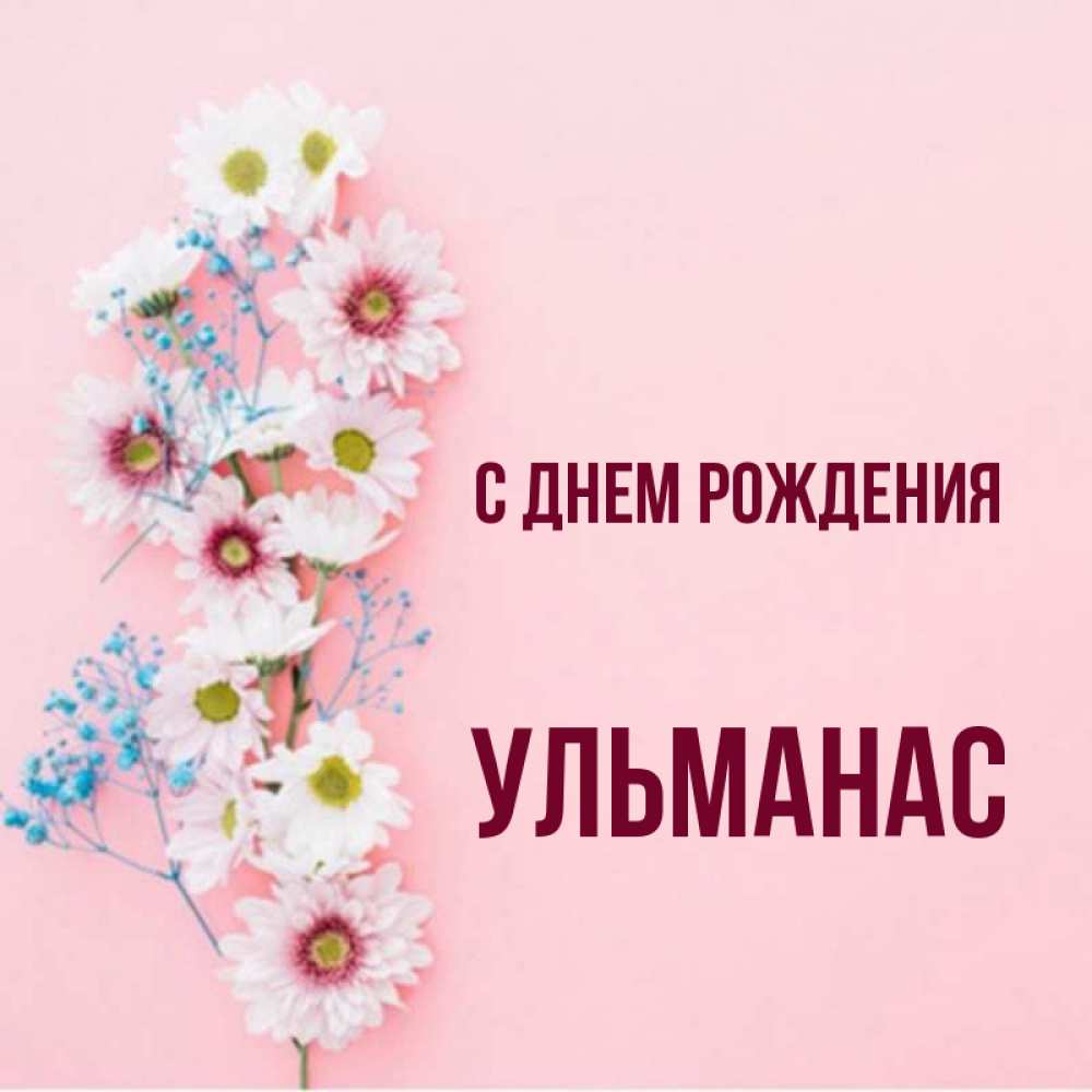 Открытка на каждый день с именем, Ульманас С днем рождения Родная моя с днем рождения тебя картинка с цветами белыми и голубыми Прикольная открытка с пожеланием онлайн скачать бесплатно 