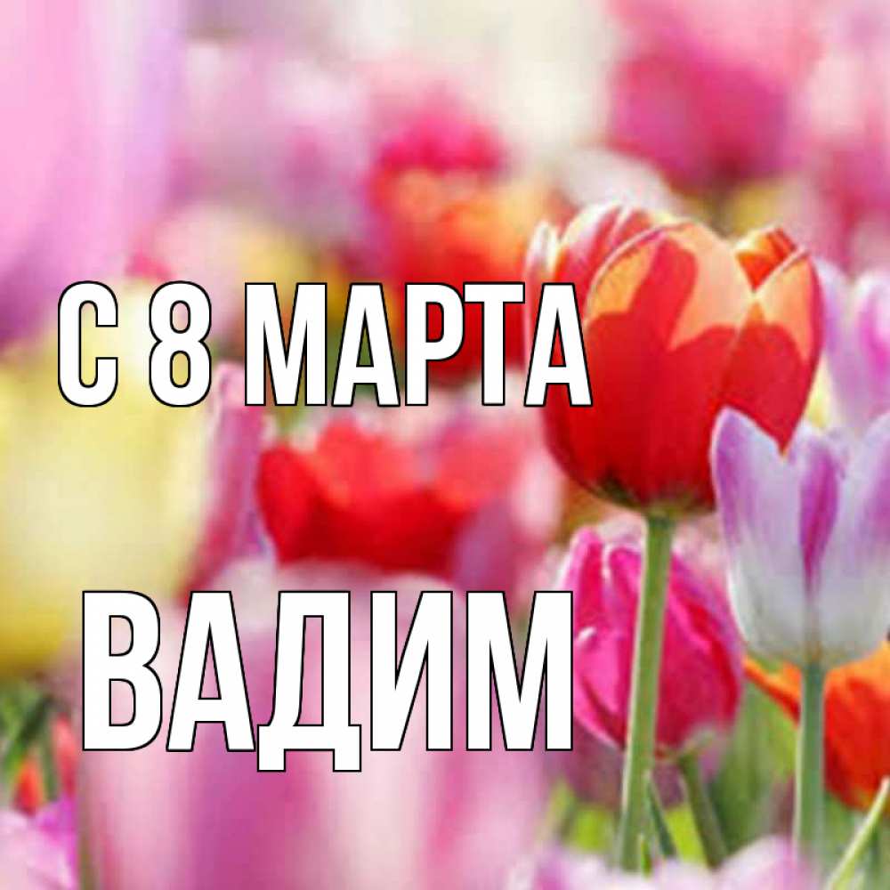 Открытка на каждый день с именем, Вадим С 8 МАРТА на международный женский день 2 Прикольная открытка с пожеланием онлайн скачать бесплатно 