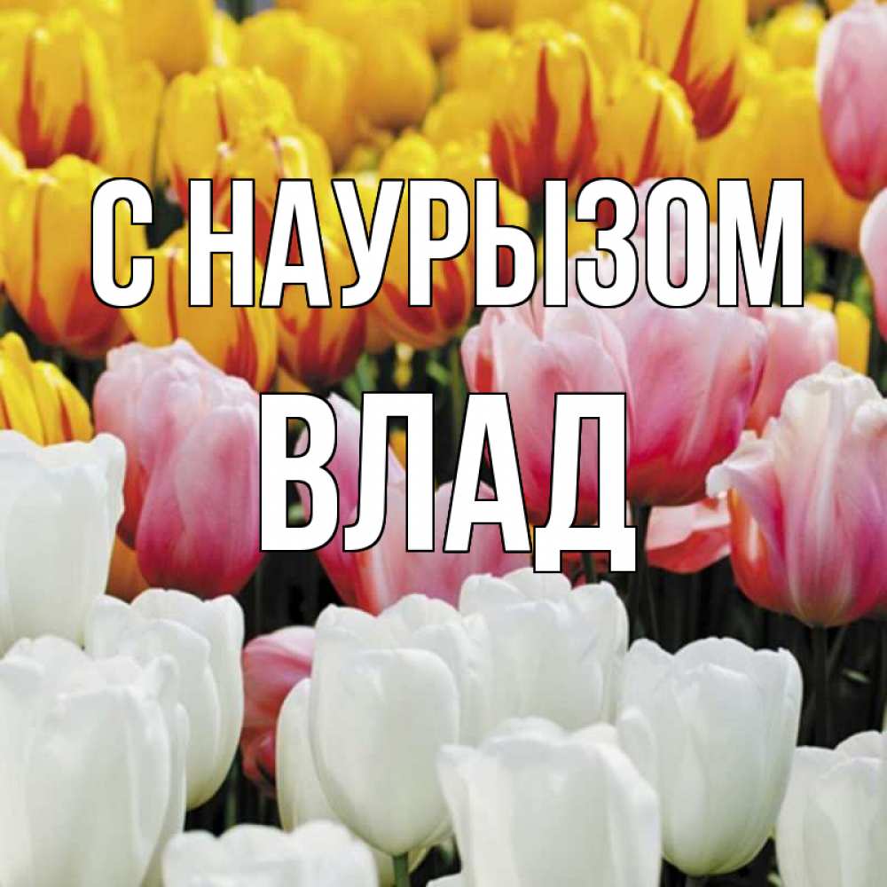 Картинка С наурызом, Влад