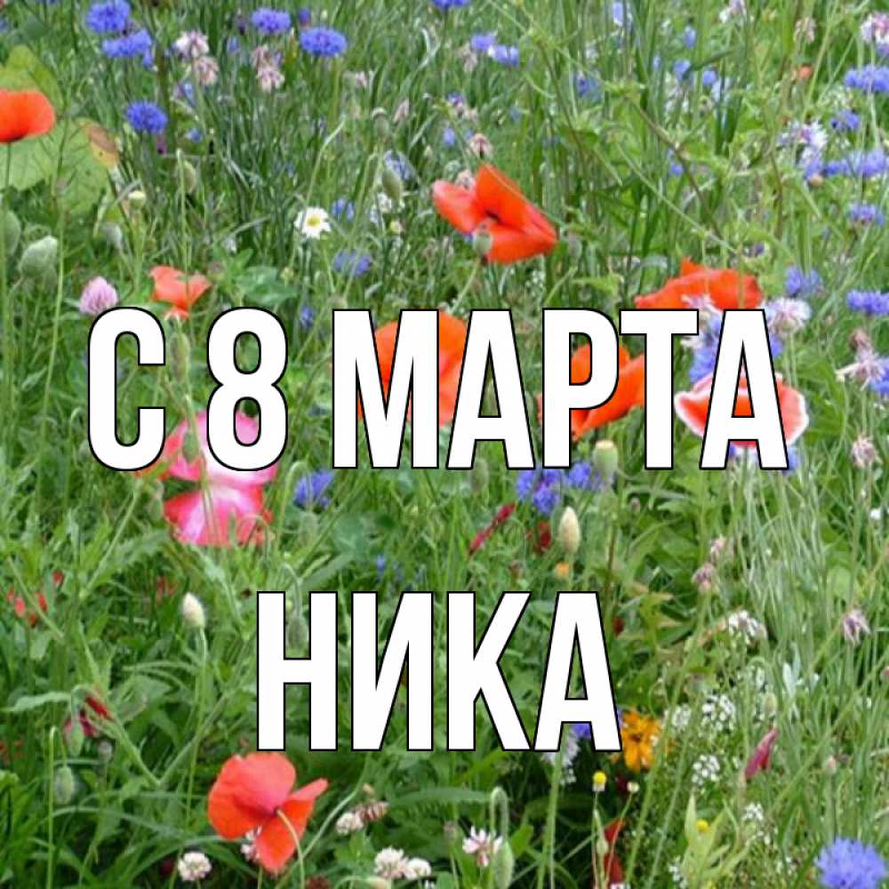 Открытка на каждый день с именем, Ника С 8 МАРТА международный женский день 4 Прикольная открытка с пожеланием онлайн скачать бесплатно 