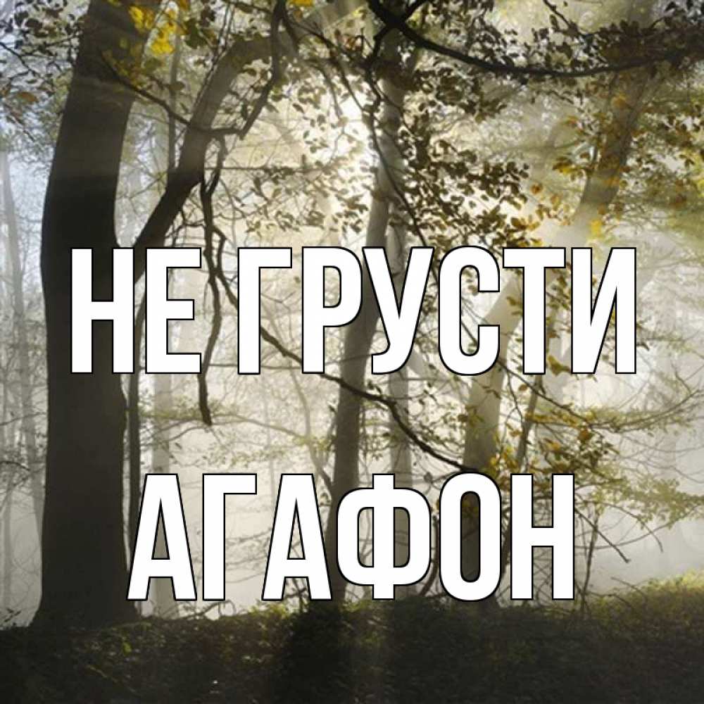 Открытка на каждый день с именем, Агафон Не грусти лес и свет Прикольная открытка с пожеланием онлайн скачать бесплатно 