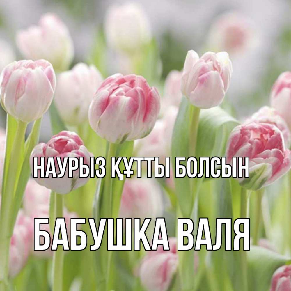 Открытка на каждый день с именем, Бабушка-Валя Наурыз құтты болсын цветы Прикольная открытка с пожеланием онлайн скачать бесплатно 