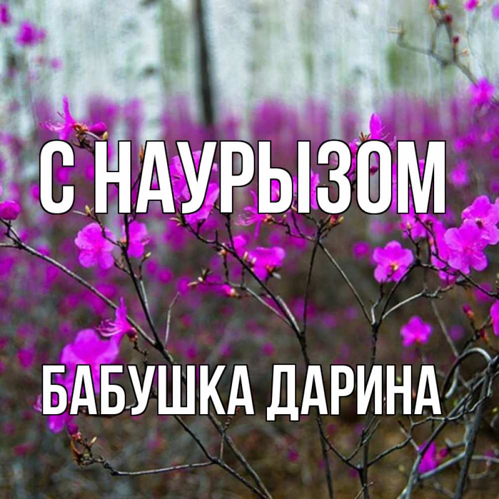 Открытка на каждый день с именем, Бабушка-Дарина С наурызом дикие цветы Прикольная открытка с пожеланием онлайн скачать бесплатно 