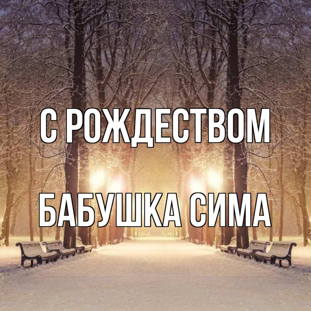 Открытка на каждый день с именем, Бабушка-Сима С рождеством зима, парк, фонарь, лес Прикольная открытка с пожеланием онлайн скачать бесплатно 