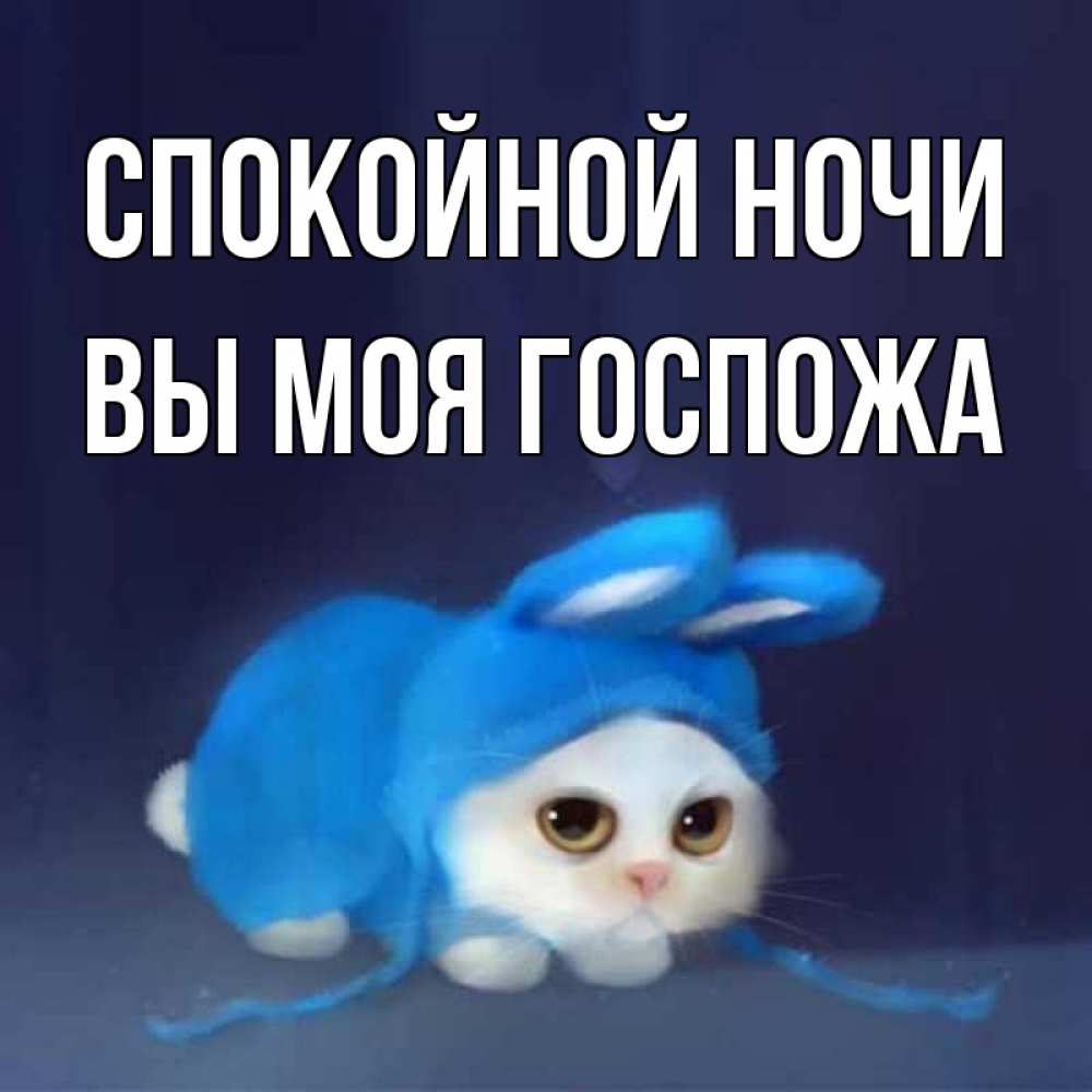 Открытка на каждый день с именем, Вы-моя-Госпожа Спокойной ночи кот в голубом костюме кролика с ушками Прикольная открытка с пожеланием онлайн скачать бесплатно 