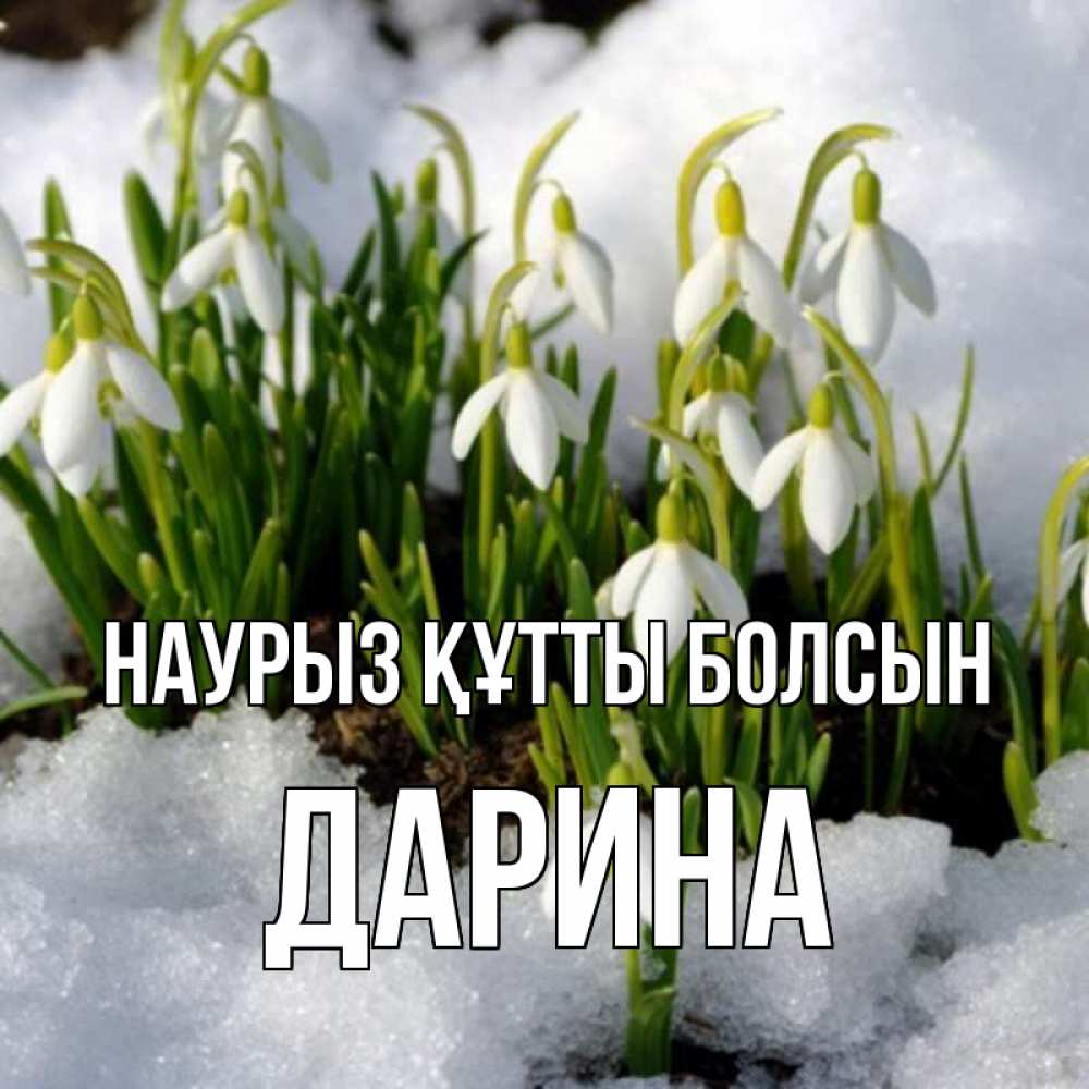 Открытка на каждый день с именем, Дарина Наурыз құтты болсын цветы весенние Прикольная открытка с пожеланием онлайн скачать бесплатно 