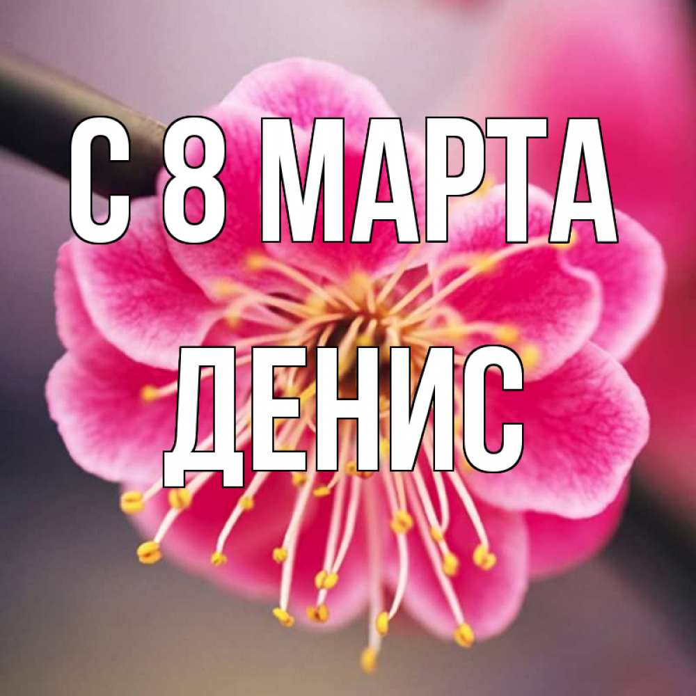 Открытка на каждый день с именем, Денис С 8 МАРТА цветы Прикольная открытка с пожеланием онлайн скачать бесплатно 