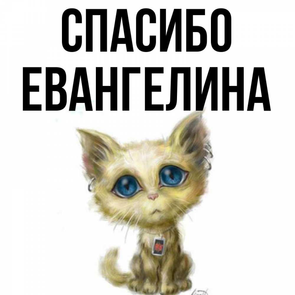Открытка на каждый день с именем, Евангелина Спасибо рисованный кот благодарит вас Прикольная открытка с пожеланием онлайн скачать бесплатно 