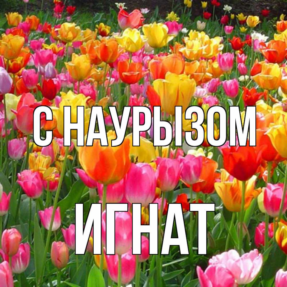 Открытка на каждый день с именем, Игнат С наурызом праздник весны наурыз 4 Прикольная открытка с пожеланием онлайн скачать бесплатно 