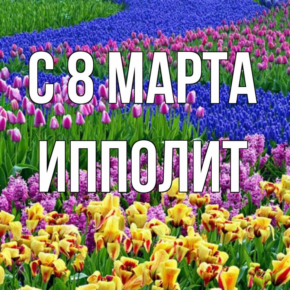 Открытка на каждый день с именем, Ипполит С 8 МАРТА цветы Прикольная открытка с пожеланием онлайн скачать бесплатно 