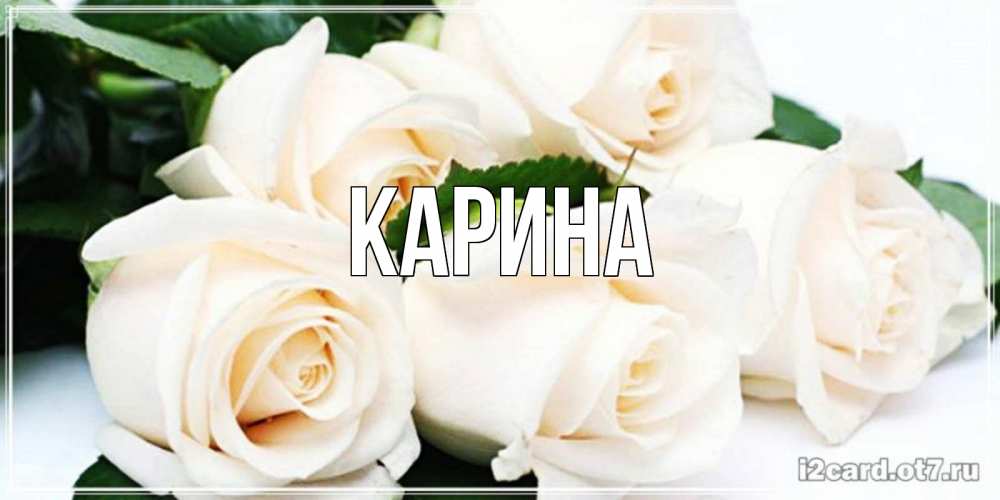 Открытка на каждый день с именем, Карина Главная открытка с красивыми белыми розами для родных Прикольная открытка с пожеланием онлайн скачать бесплатно 