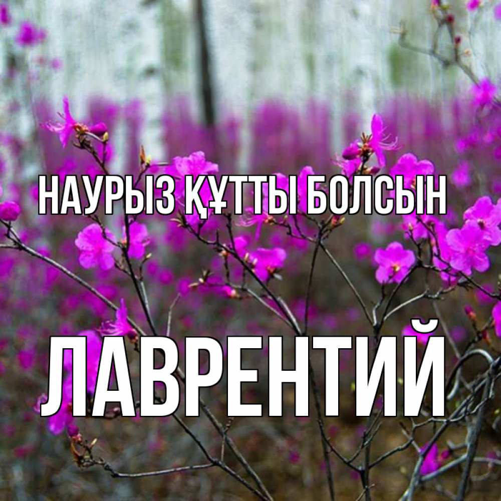 Открытка на каждый день с именем, Лаврентий Наурыз құтты болсын дикие цветы Прикольная открытка с пожеланием онлайн скачать бесплатно 