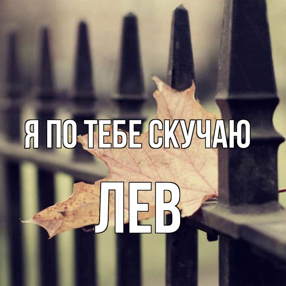 Открытка на каждый день с именем, Лев Я по тебе скучаю очень скучно Прикольная открытка с пожеланием онлайн скачать бесплатно 