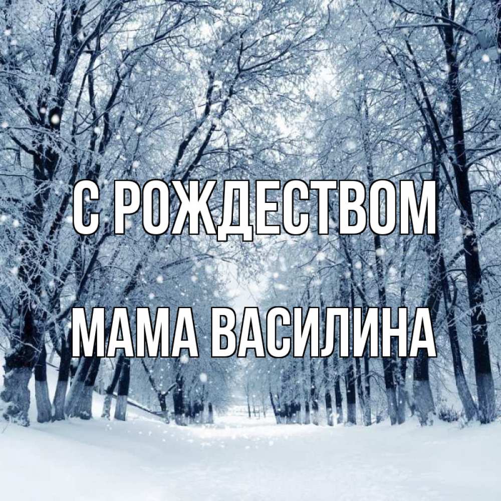 Открытка на каждый день с именем, Мама-Василина С рождеством снег, лес, парк Прикольная открытка с пожеланием онлайн скачать бесплатно 