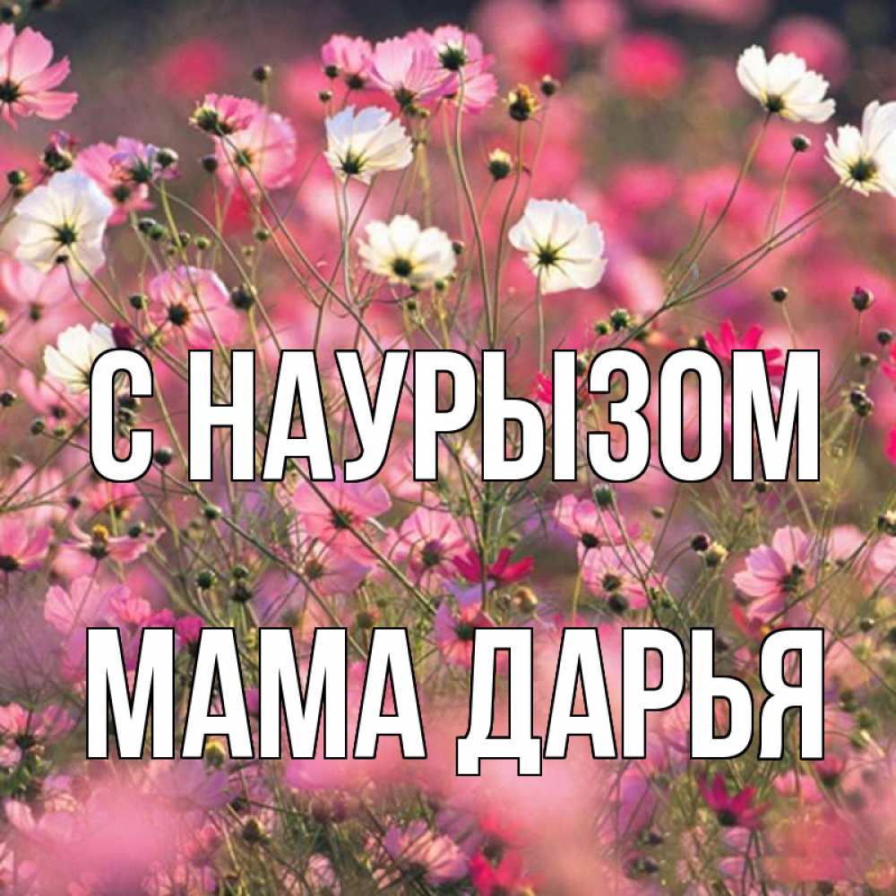 Открытка на каждый день с именем, Мама-Дарья С наурызом красиво 1 Прикольная открытка с пожеланием онлайн скачать бесплатно 
