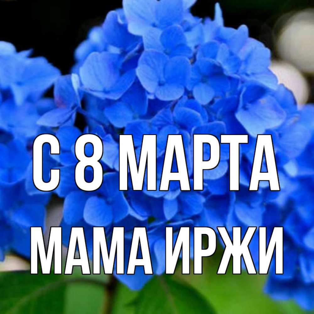 Открытка на каждый день с именем, Мама-Иржи С 8 МАРТА синие цветы Прикольная открытка с пожеланием онлайн скачать бесплатно 
