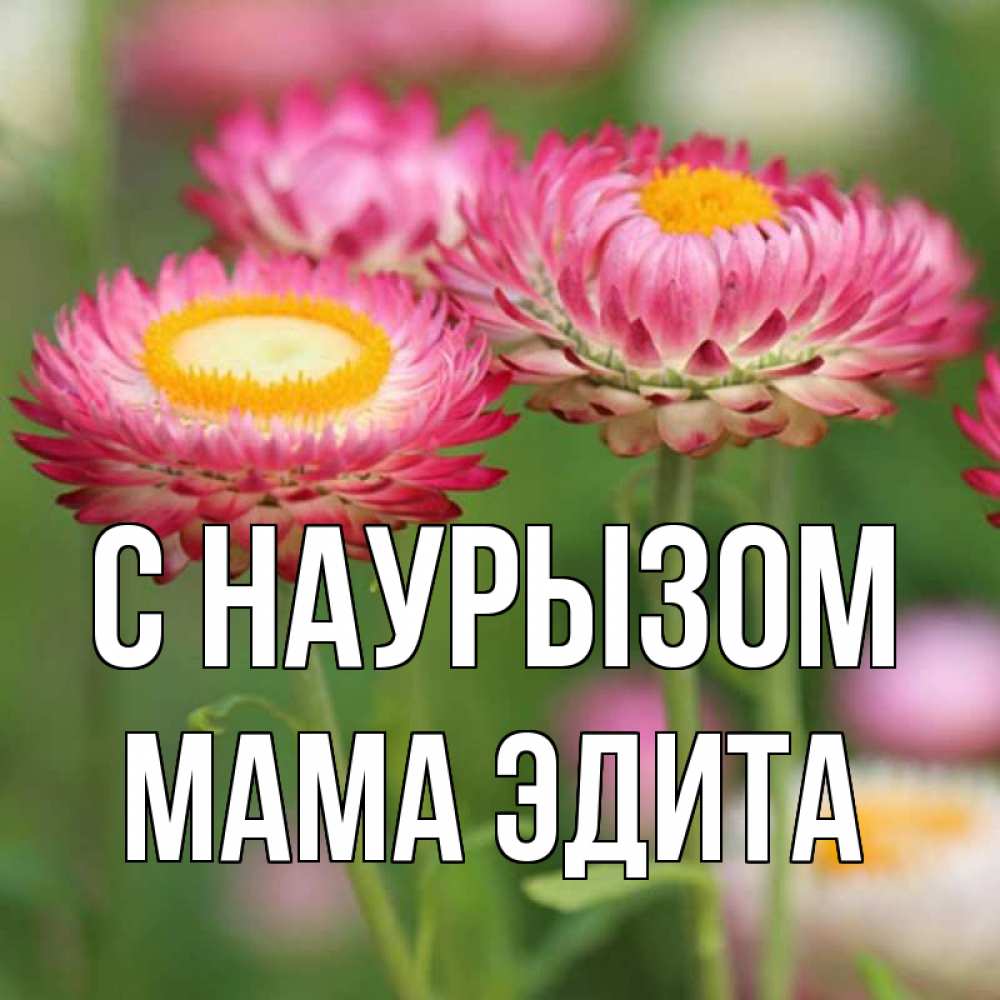 Открытка на каждый день с именем, Мама-Эдита С наурызом подарок на международный женский день Прикольная открытка с пожеланием онлайн скачать бесплатно 