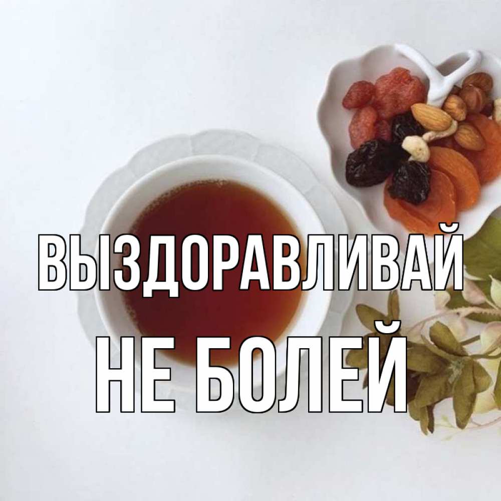 Открытка на каждый день с именем, Не-болей Выздоравливай неизвестные растения Прикольная открытка с пожеланием онлайн скачать бесплатно 