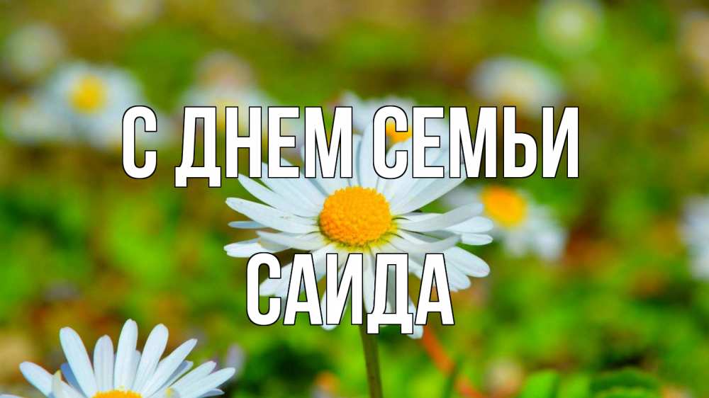 Открытка на каждый день с именем, Саида С днем семьи с днем семьи Прикольная открытка с пожеланием онлайн скачать бесплатно 