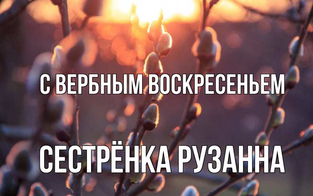 Открытка на каждый день с именем, Сестрёнка-Рузанна С вербным воскресеньем верба Прикольная открытка с пожеланием онлайн скачать бесплатно 