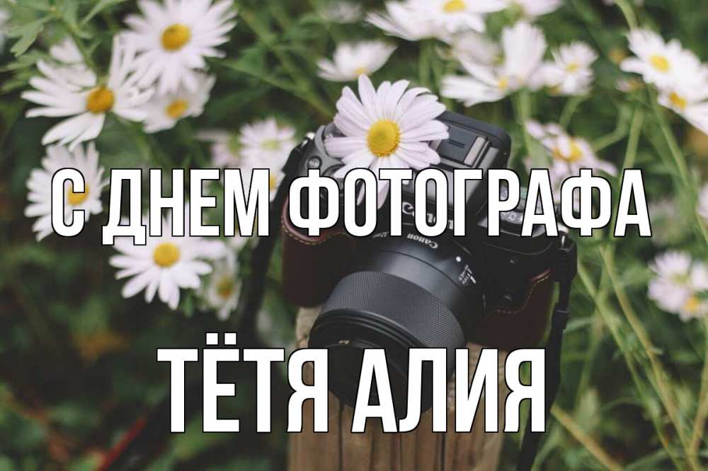Открытка на каждый день с именем, Тётя-Алия С днем фотографа с днем фотографа Прикольная открытка с пожеланием онлайн скачать бесплатно 
