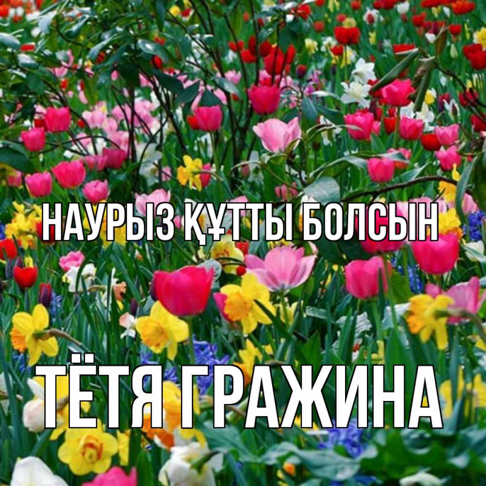 Открытка на каждый день с именем, Тётя-Гражина Наурыз құтты болсын с наурызом поздравления для женщины Прикольная открытка с пожеланием онлайн скачать бесплатно 