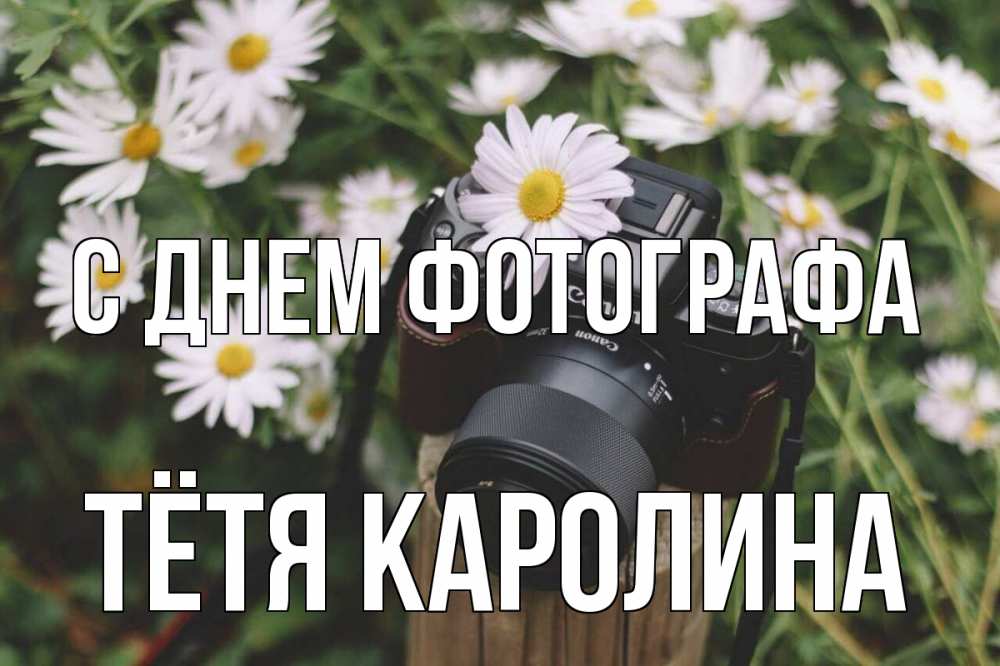 Открытка на каждый день с именем, Тётя-Каролина С днем фотографа с днем фотографа Прикольная открытка с пожеланием онлайн скачать бесплатно 