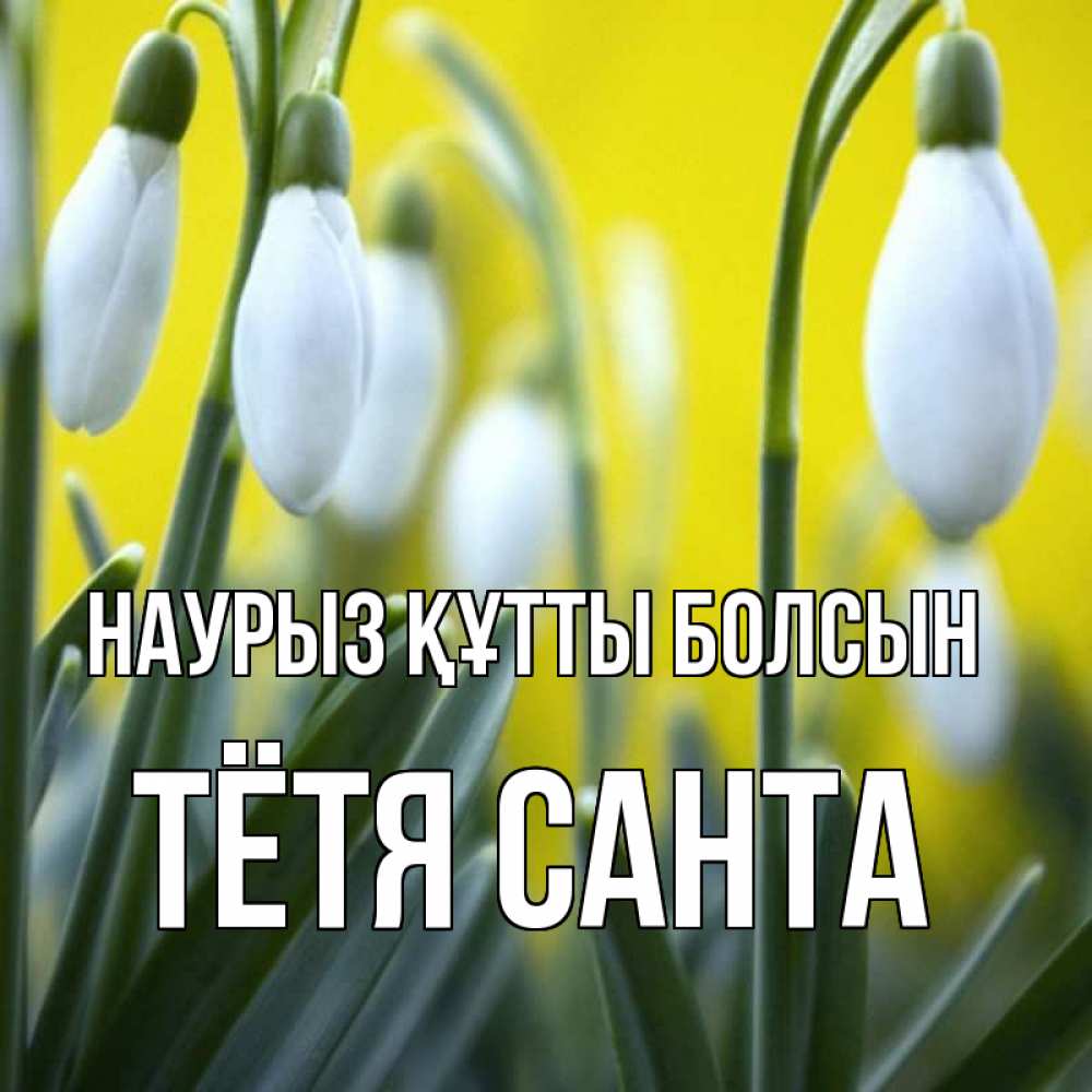 Открытка на каждый день с именем, Тётя-Санта Наурыз құтты болсын весенние цветы Прикольная открытка с пожеланием онлайн скачать бесплатно 