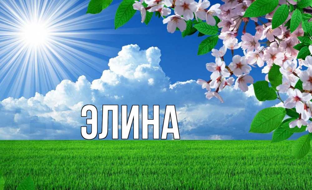 Открытка на каждый день с именем, Элина Главная С 1 мая Прикольная открытка с пожеланием онлайн скачать бесплатно 