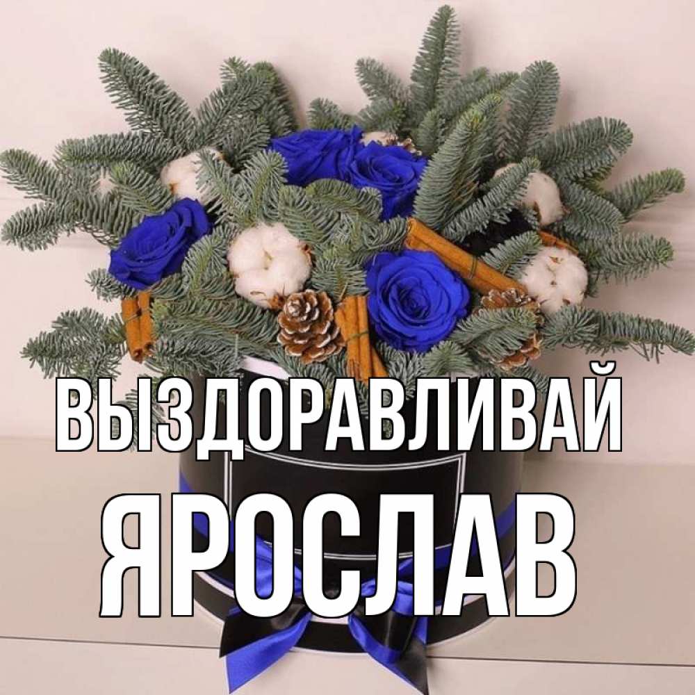 Открытка на каждый день с именем, Ярослав Выздоравливай короче кто то загрузил эти шишки Прикольная открытка с пожеланием онлайн скачать бесплатно 