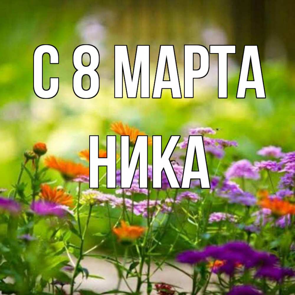 Открытка на каждый день с именем, Ника С 8 МАРТА цветы Прикольная открытка с пожеланием онлайн скачать бесплатно 