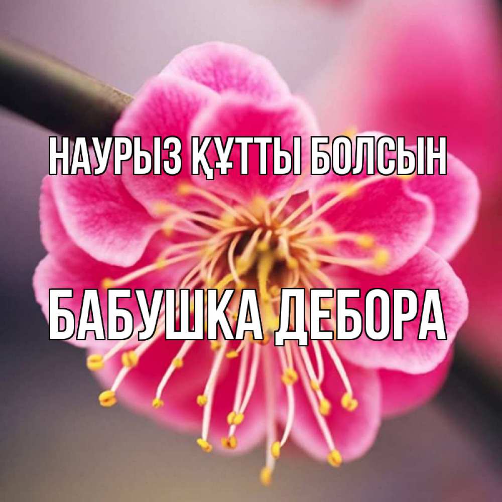 Открытка на каждый день с именем, Бабушка-Дебора Наурыз құтты болсын цветы Прикольная открытка с пожеланием онлайн скачать бесплатно 