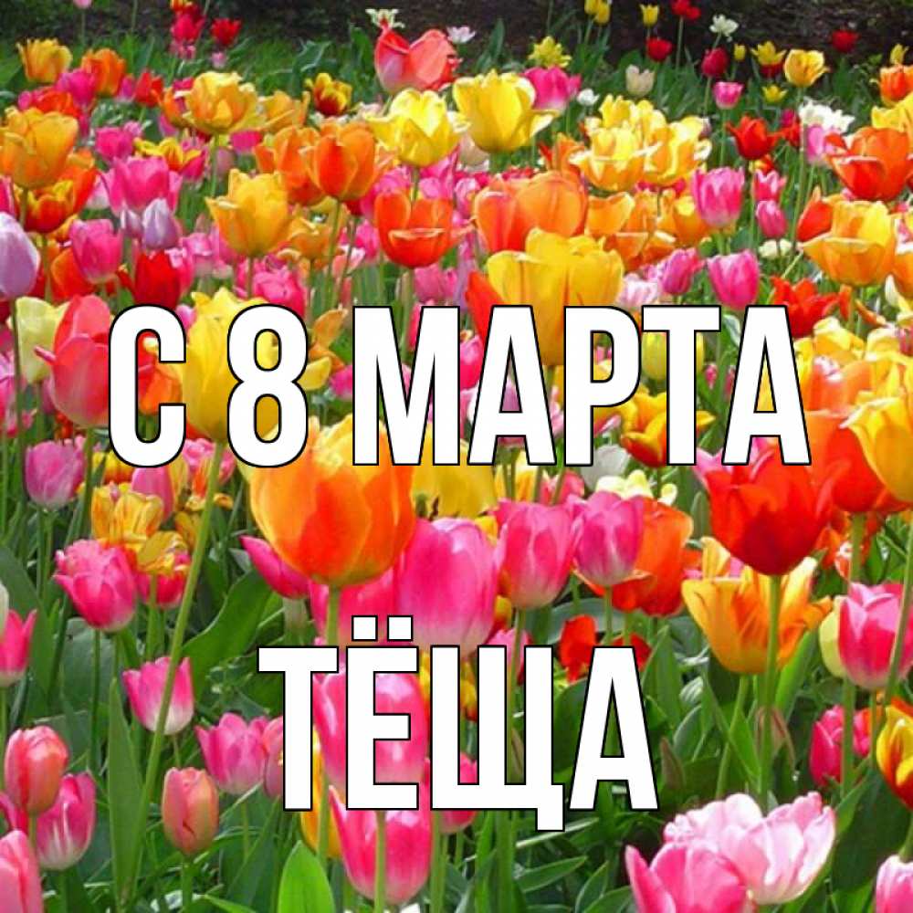 Открытка на каждый день с именем, Тёща С 8 МАРТА на международный женский день Прикольная открытка с пожеланием онлайн скачать бесплатно 